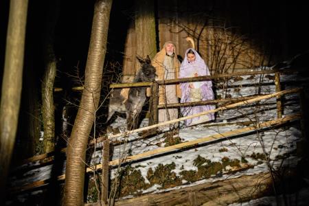 Predstava Božična noč pri Ivanovem izviru, sezona 2014-2015 14